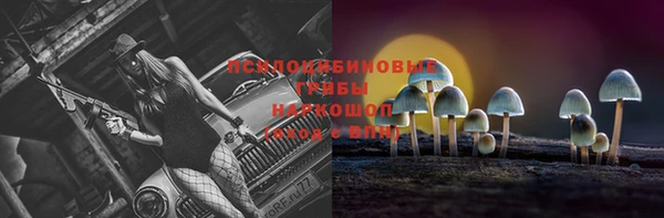 ешки Покачи