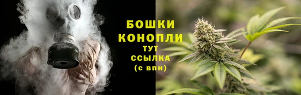 амф Беломорск