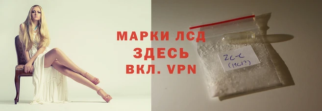 Альфа ПВП Белокуриха