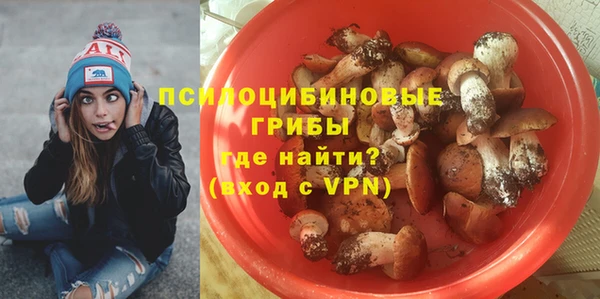 амф Беломорск