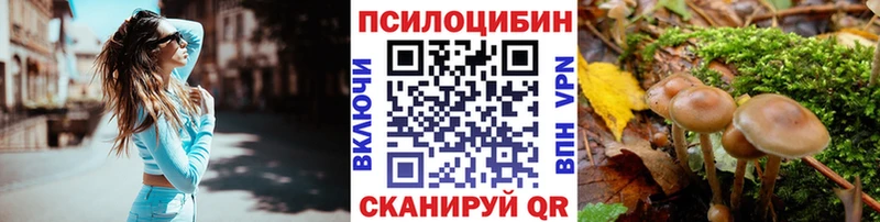 гидра ONION  Семилуки  Псилоцибиновые грибы Psilocybe 